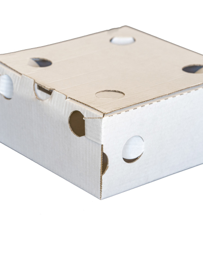 Box Hamburger